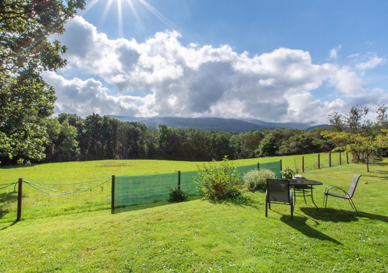 Cuddfan Idris Villa Dolgellau Eksteriør bilde